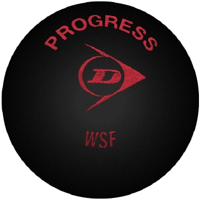 Мячи для сквоша Dunlop 1-Red Progress x1