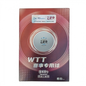 Мячи Friendship 729 3* SL S40+ WTT ITTF Plastic x6 White