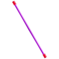 Гимнастическая палка Бодибар 6kg Purple MR-B06