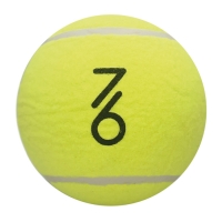 Сувенир 7/6 Jumbo Tennis Ball 6 Yellow J897(7/6)-6.0