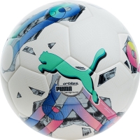 Мяч для футбола Puma Orbita 5 TB Hardground Мulticolor 08378201